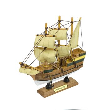 Mayflower, 20cm