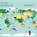Usborne Atlas and Jigsaw - Map of the World additional 4