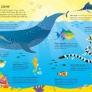 Usborne Book and Jigsaw - Oceans additional 4
