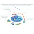 Orange Tree Toys - Magnetic Fishing Game additional 2