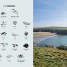 The Coastal Almanac: The ultimate guide to a year by the sea additional 2