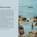 The Coastal Almanac: The ultimate guide to a year by the sea additional 3