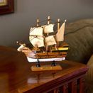 Mayflower, 20cm additional 2
