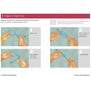 RYA G60 Pocket Guide to Boating Knots additional 2
