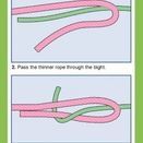 Knot Companion additional 3