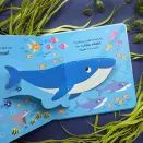 Seal in the Sea – Children’s Pop-Up Book additional 2