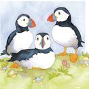 Emma Ball Puffins Mini Note Cards (Pack of 10) additional 2