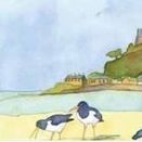 Emma Ball Oystercatcher's View Two-Fold Greetings Card additional 2