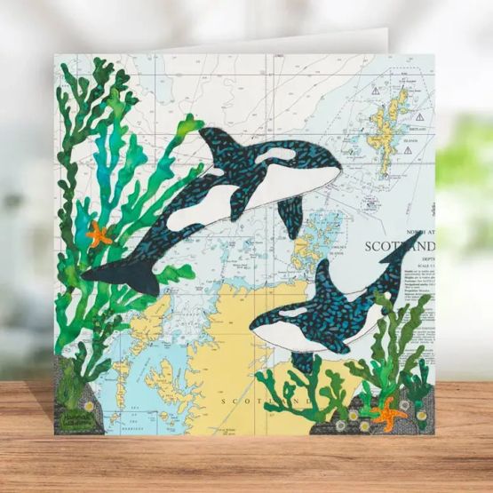 Hannah Wisdom Orca At Orkney Scotland Greetings Card