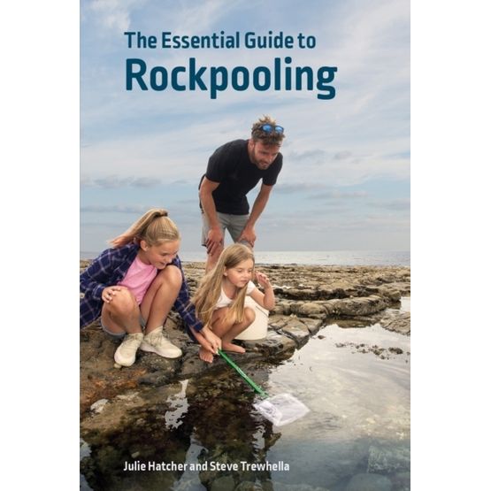 The Essential Guide to Rockpooling