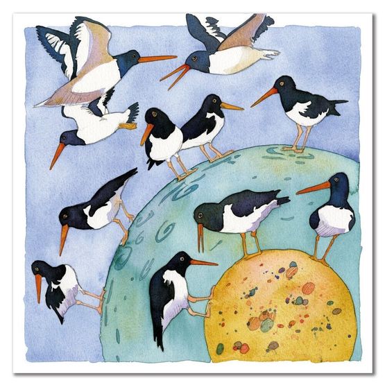 Emma Ball Oystercatchers Galore II Greetings Card