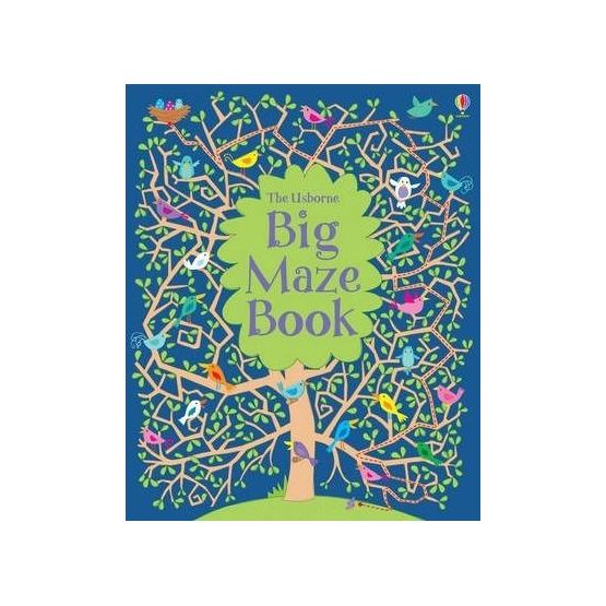 The Usborne Big Maze Book