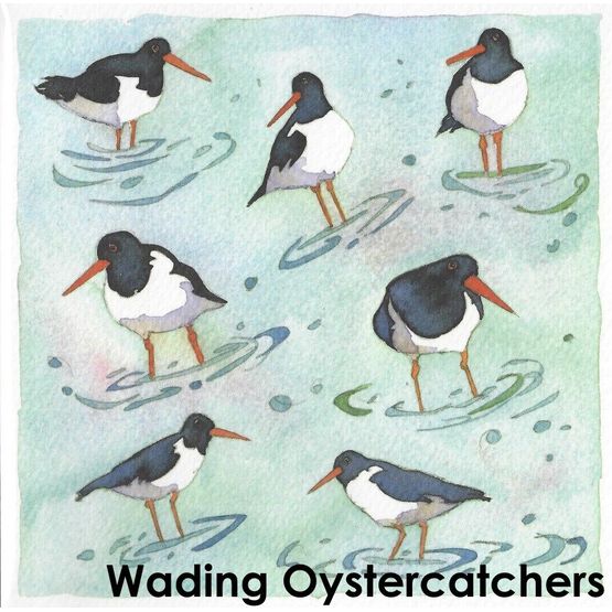 Emma Ball Wading Oystercatchers Single Coaster